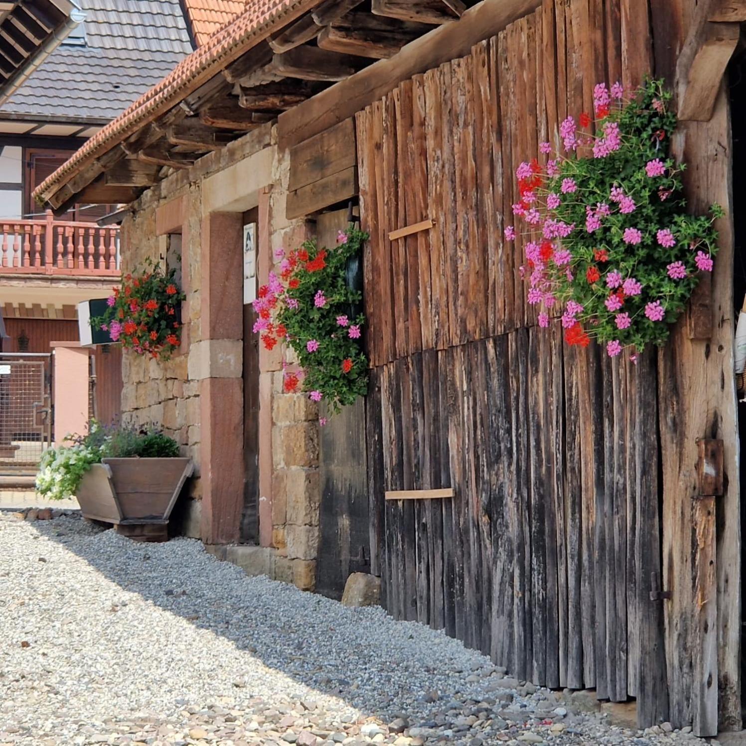 Chambres D'Hotes Chez Linda Stephane Le Passe Compose Preuschdorf エクステリア 写真